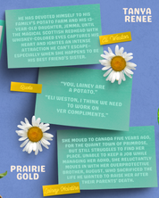 Prairie Gold - Paperback