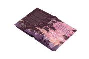 The Reasons Why - Special Edition