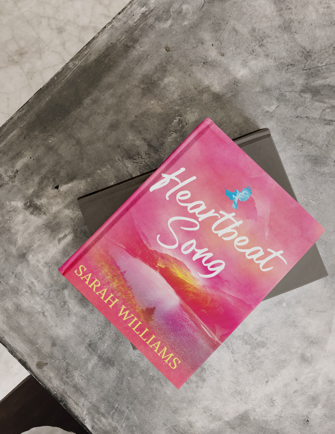 Book titled 'Heartbeat Song' by Sarah Williams on a concrete surface