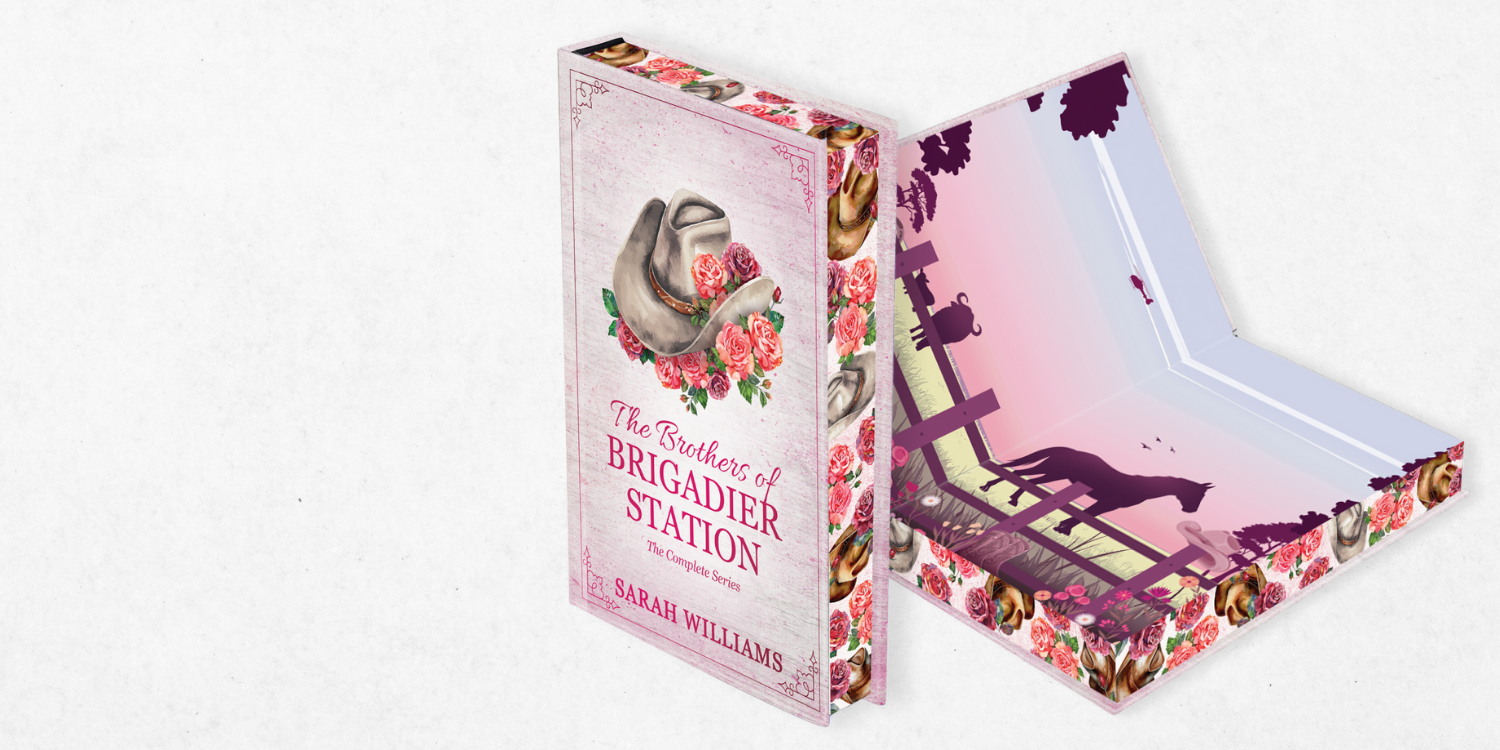 Book titled 'The Brothers of Brigadier Station' by Sarah Williams with decorative cover design.