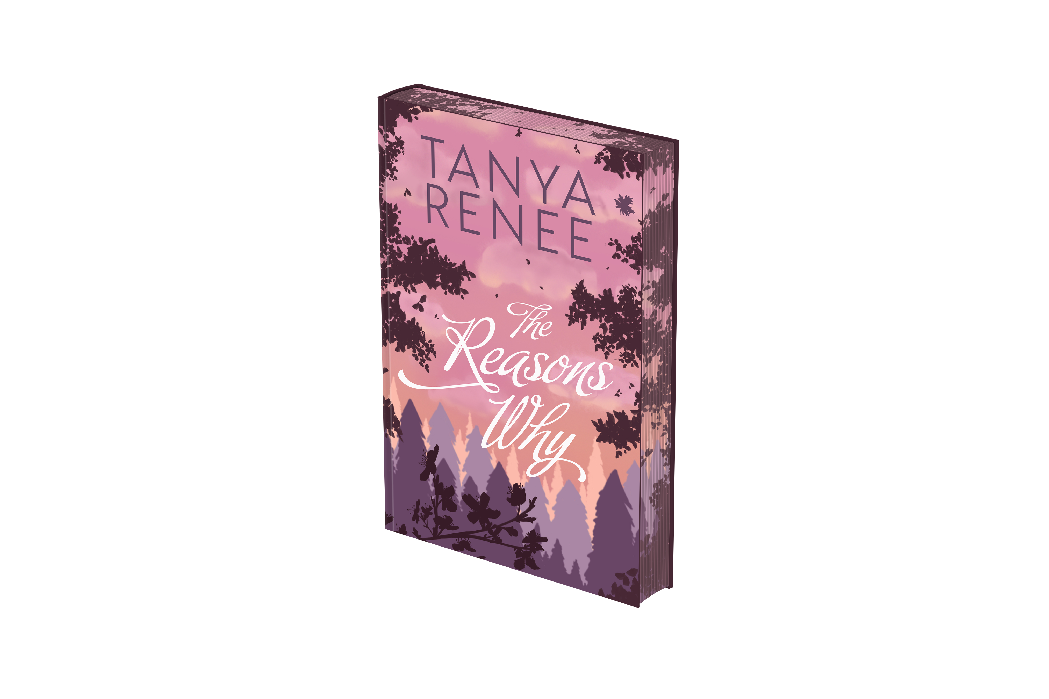 The Reasons Why - Special Edition
