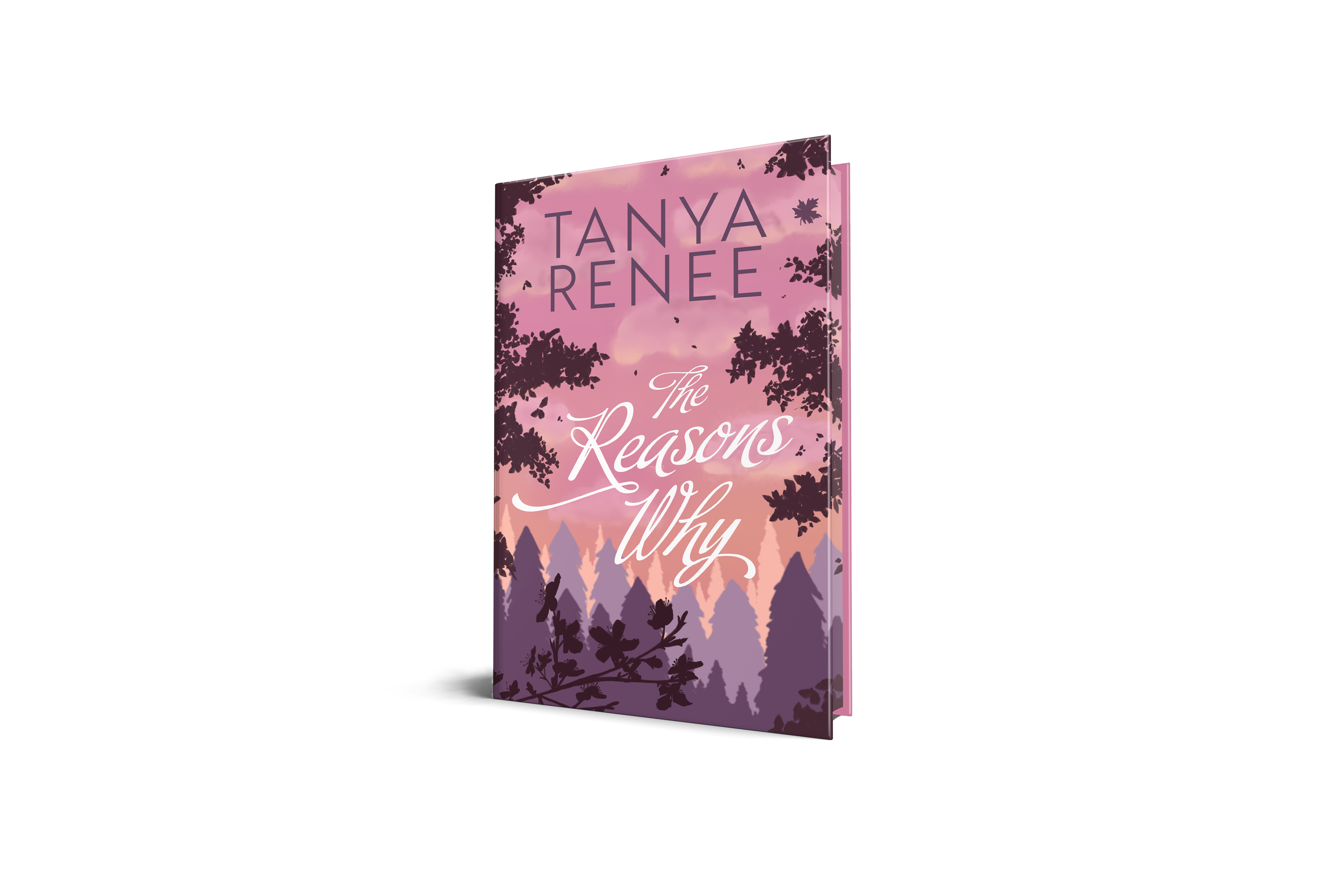 The Reasons Why - Special Edition