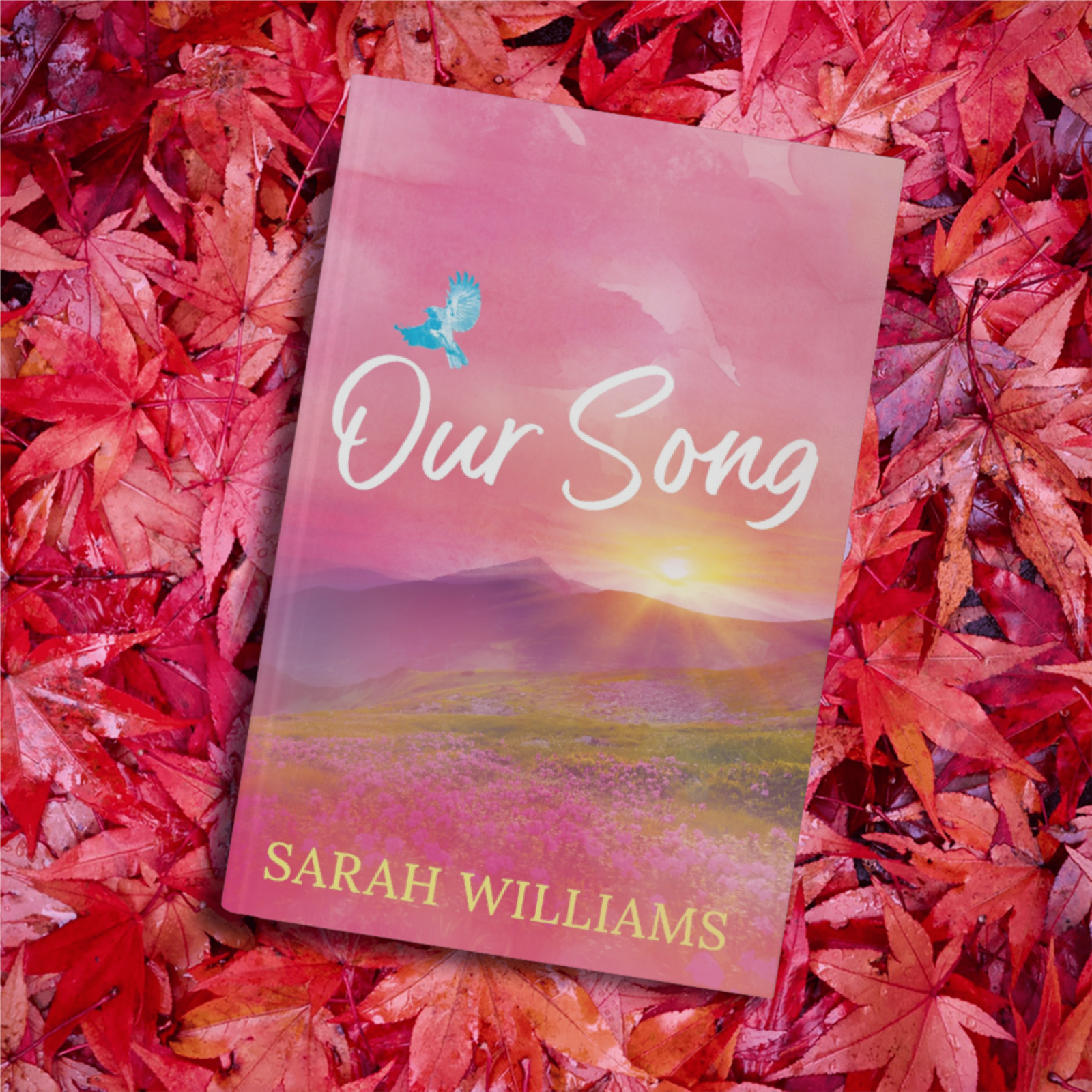 PRE-ORDER: Our Song - Paperback